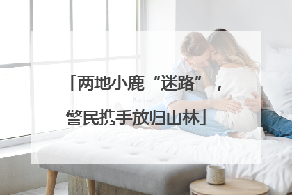 两地小鹿“迷路”，警民携手放归山林