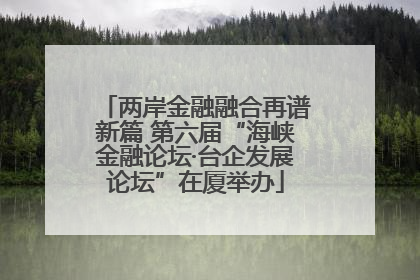 两岸金融融合再谱新篇 第六届“海峡金融论坛·台企发展论坛”在厦举办