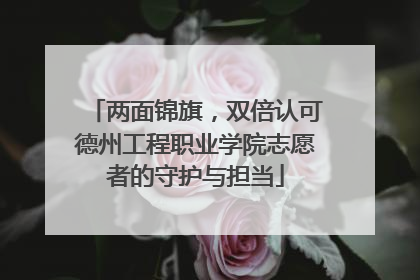 两面锦旗，双倍认可德州工程职业学院志愿者的守护与担当