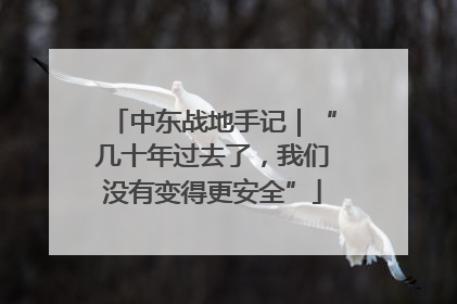 中东战地手记｜“几十年过去了，我们没有变得更安全”