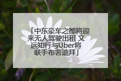 中东豪车之都将迎来无人驾驶出租 文远知行与Uber将联手布署迪拜