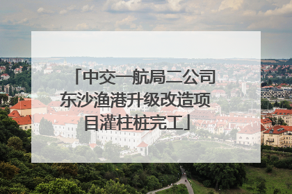 中交一航局二公司东沙渔港升级改造项目灌柱桩完工