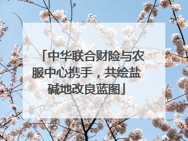 中华联合财险与农服中心携手，共绘盐碱地改良蓝图