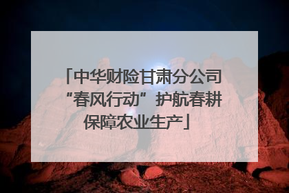中华财险甘肃分公司“春风行动”护航春耕 保障农业生产
