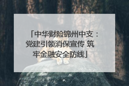 中华财险锦州中支：党建引领消保宣传 筑牢金融安全防线
