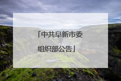 中共阜新市委组织部公告