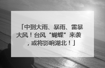 中到大雨、暴雨、雷暴大风！台风“蝴蝶”来袭，或将影响湖北！