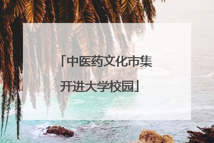 中医药文化市集开进大学校园