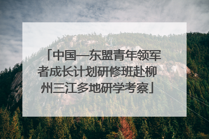 中国—东盟青年领军者成长计划研修班赴柳州三江多地研学考察