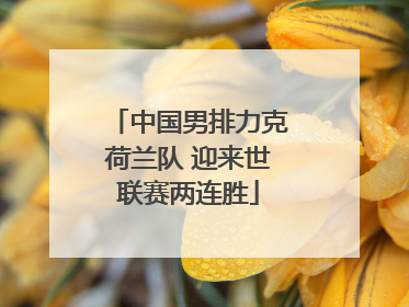 中国男排力克荷兰队 迎来世联赛两连胜