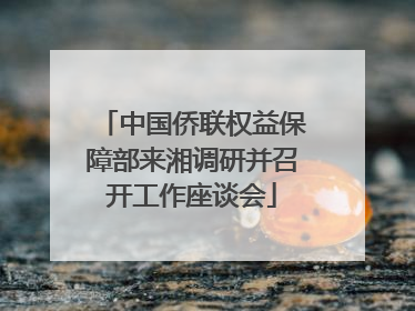 中国侨联权益保障部来湘调研并召开工作座谈会