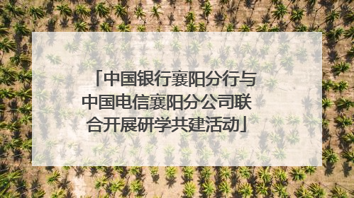中国银行襄阳分行与中国电信襄阳分公司联合开展研学共建活动