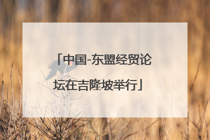 中国-东盟经贸论坛在吉隆坡举行