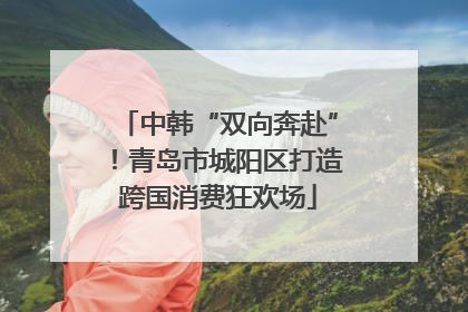 中韩“双向奔赴”！青岛市城阳区打造跨国消费狂欢场