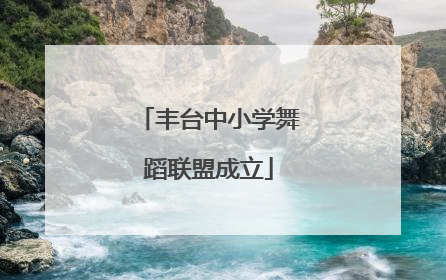 丰台中小学舞蹈联盟成立