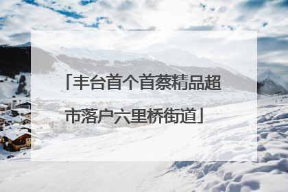 丰台首个首蔡精品超市落户六里桥街道