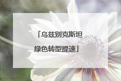 乌兹别克斯坦绿色转型提速