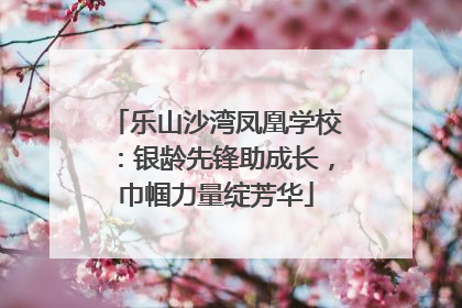 乐山沙湾凤凰学校：银龄先锋助成长，巾帼力量绽芳华