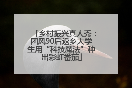 乡村振兴真人秀：团风90后返乡大学生用“科技魔法”种出彩虹番茄