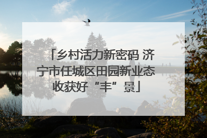 乡村活力新密码 济宁市任城区田园新业态收获好“丰”景