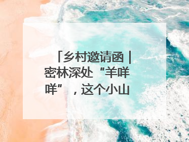 乡村邀请函｜密林深处“羊咩咩”，这个小山村如何逆袭？