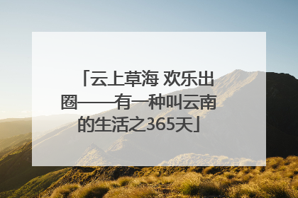 云上草海 欢乐出圈——有一种叫云南的生活之365天