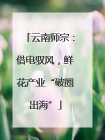 云南师宗：借电驭风，鲜花产业“破圈出海”