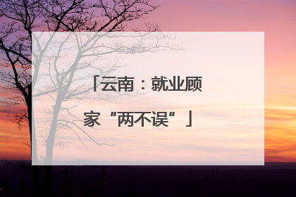 云南：就业顾家“两不误”