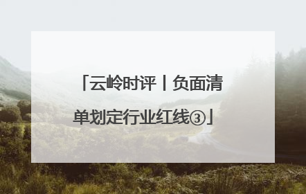 云岭时评丨负面清单划定行业红线③