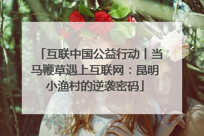 互联中国公益行动丨当马鞭草遇上互联网：昆明小渔村的逆袭密码