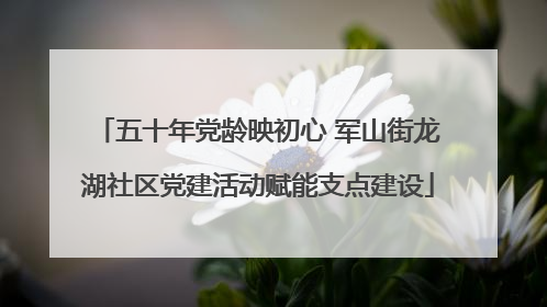 五十年党龄映初心 军山街龙湖社区党建活动赋能支点建设