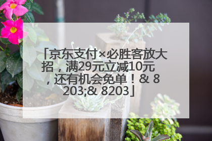京东支付×必胜客放大招，满29元立减10元，还有机会免单！& 8203;& 8203