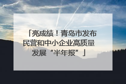 亮成绩！青岛市发布民营和中小企业高质量发展“半年报”