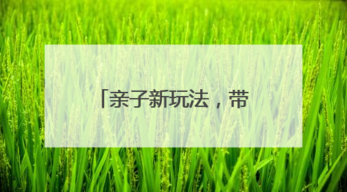 亲子新玩法，带娃勇闯稻田！快来解锁嘉定版《向往的生活》