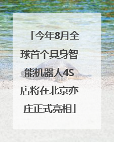 今年8月全球首个具身智能机器人4S店将在北京亦庄正式亮相