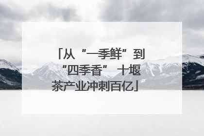 从“一季鲜”到“四季香” 十堰茶产业冲刺百亿