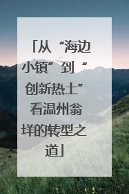 从“海边小镇”到“创新热土” 看温州翁垟的转型之道