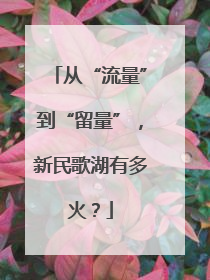 从“流量”到“留量”，新民歌湖有多火？