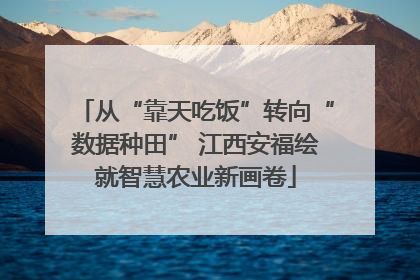 从“靠天吃饭”转向“数据种田” 江西安福绘就智慧农业新画卷