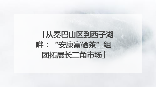 从秦巴山区到西子湖畔：“安康富硒茶”组团拓展长三角市场