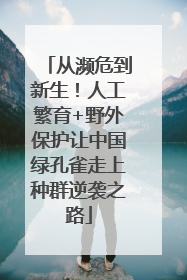 从濒危到新生！人工繁育+野外保护让中国绿孔雀走上种群逆袭之路