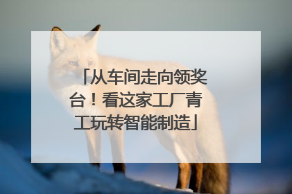 从车间走向领奖台！看这家工厂青工玩转智能制造