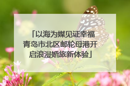 以海为媒见证幸福 青岛市北区邮轮母港开启浪漫婚旅新体验