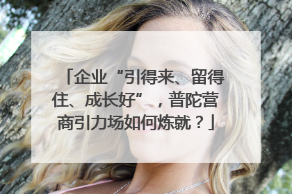 企业“引得来、留得住、成长好”，普陀营商引力场如何炼就？