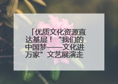 优质文化资源直达基层！“我们的中国梦——文化进万家”文艺展演走进济南市莱芜区