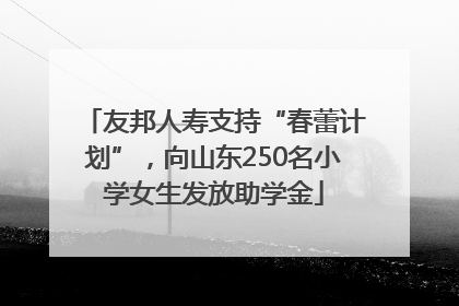 友邦人寿支持“春蕾计划”，向山东250名小学女生发放助学金