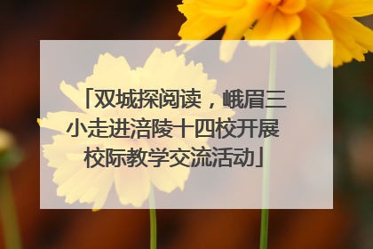 双城探阅读，峨眉三小走进涪陵十四校开展校际教学交流活动