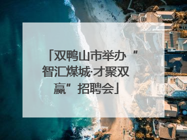 双鸭山市举办“智汇煤城·才聚双赢”招聘会