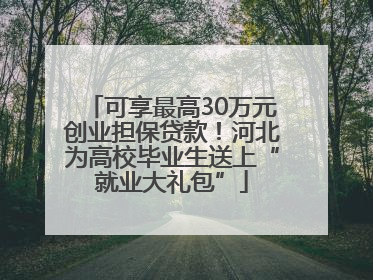 可享最高30万元创业担保贷款！河北为高校毕业生送上“就业大礼包”