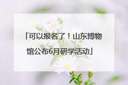 可以报名了！山东博物馆公布6月研学活动